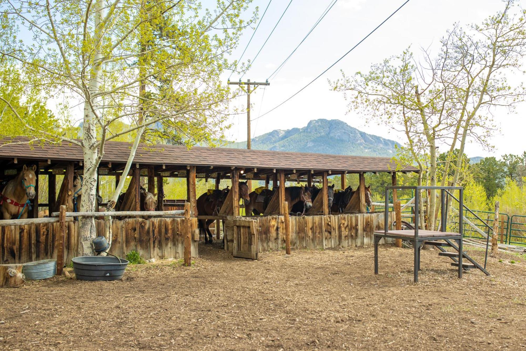 The Meeker Park Lodge Allenspark Exterior foto